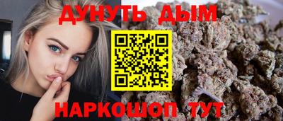 сатива Кунгур