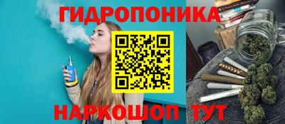 сатива Кунгур