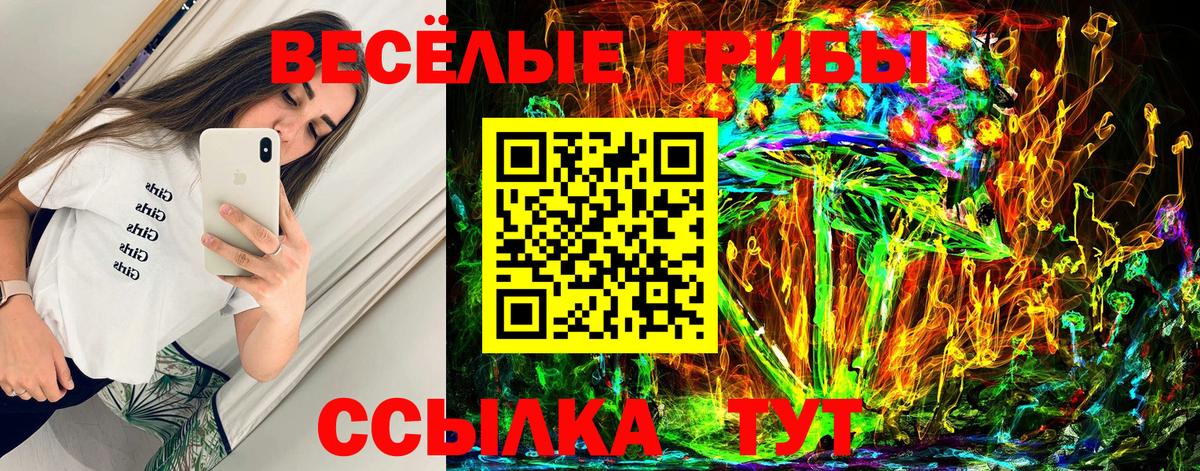 Псилоцибиновые грибы Psilocybine cubensis  Вход с VPN  Гай 