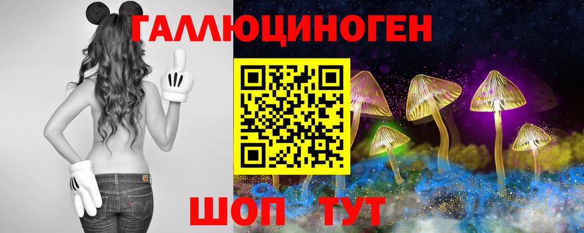 Галлюциногенные грибы Psilocybine cubensis Гай